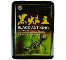 Черный королевский муравей 
