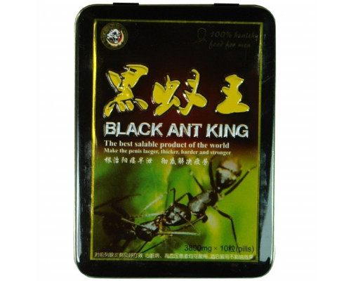 Черный королевский муравей
