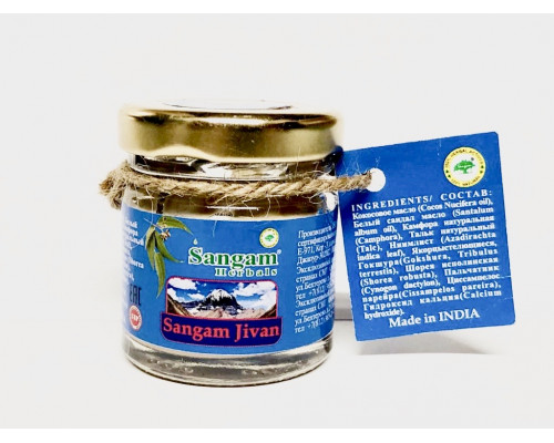 SANGAM JIVAN, Sangam Herbals (САНГАМ ДЖИВАН универсальная мазь, Сангам Хербалс), 35 мл.