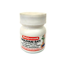 SANJIVANI BATI Baidyanath (Сандживани Бати (Вати), противовирусное средство, Бадьянатх), 40 таб.