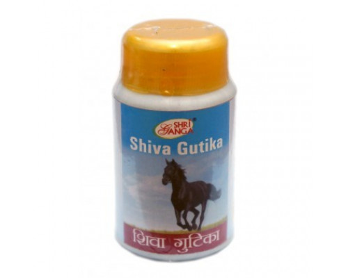 SHIVA GUTIKA Shri Ganga (ШИВА ГУТИКА, комплексное оздоровление. Шри Ганга), 50 г.